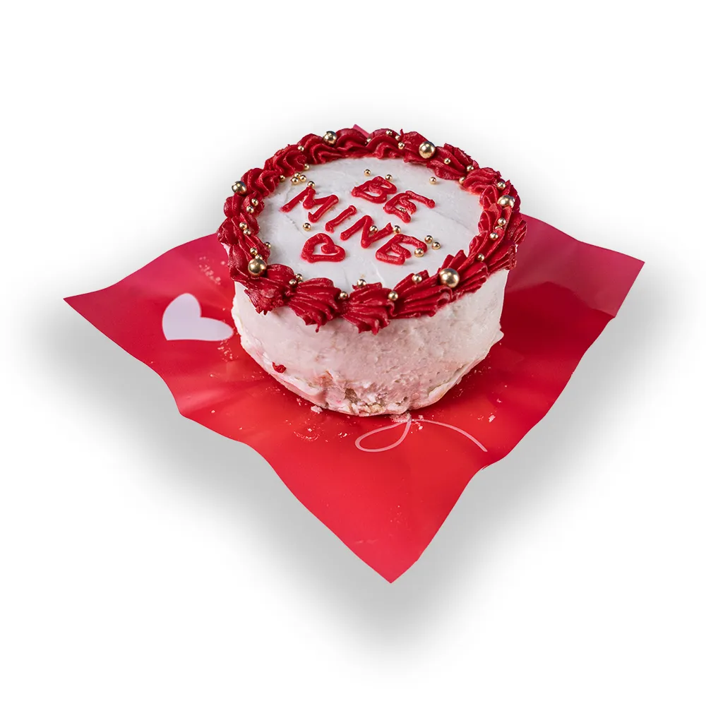 Cake 05.webp