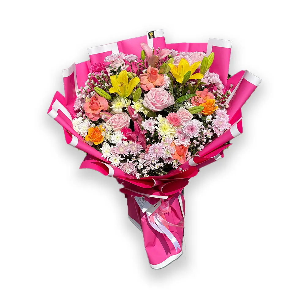 IMG_1904.JPG_backgroudn Removed.jpg.webp