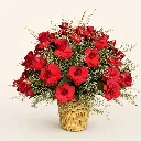 BMB-REL-OFR-LUX-001-main.webp