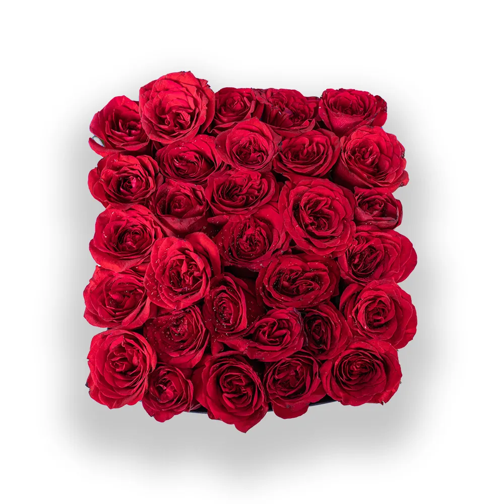 My Love – Signature_DSC08611.webp