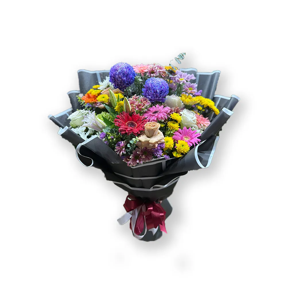 [BMB-MOD-BQT-PRM-03] Soft Radiance